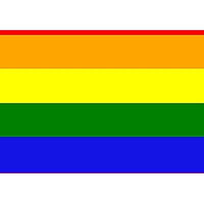 AZ FLAG Rainbow Bandana Flag 20'' x 20'' 100% Polyester Gay pride Small Banner Fade Resistant Vivid Colors 20x20 in 50x50 Cm AZ FLAG Rainbow Bandana Flag 20'' x 20'' 100% Polyester Gay pride Small Banner Fade Resistant Vivid Colors 20x20 in 50x50 Cm