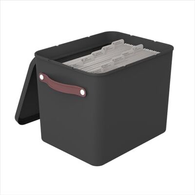 Rotho MyPaper Archive Box documentenorganizer, MY PAPER Plus, kunststof (PP) BPA-vrij, zwart, (40,0 x 29,2 x 29,8 cm) Rotho MyPaper Archive Box documentenorganizer, MY PAPER Plus, kunststof (PP) BPA-vrij, zwart, (40,0 x 29,2 x 29,8 cm)