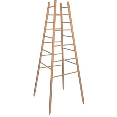 Windhager houten klimpiramide voor planten dennenhout, 50 x 50 x 145 cm klimhulp voor in de tuin, plantensteun, trellis, ondersteuningstoren voor planten FSC-gecertificeerd Windhager houten klimpiramide voor planten dennenhout, 50 x 50 x 145 cm klimhulp voor in de tuin, plantensteun, trellis, ondersteuningstoren voor planten FSC-gecertificeerd