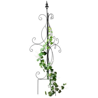 Relaxdays Klimrek voor Tuinplanten - Rozen, Wijnstokken, Decoratief Relaxdays Klimrek voor Tuinplanten - Rozen, Wijnstokken, Decoratief