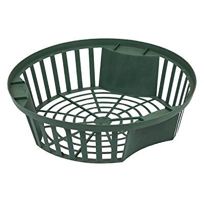 Prosperplast Prosper Plast Ui 2 Mand, 21,5 x 5,4 cm, Groen, 21,5x21,5x5,4 cm Prosperplast Prosper Plast Ui 2 Mand, 21,5 x 5,4 cm, Groen, 21,5x21,5x5,4 cm