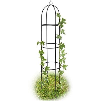 BAKAJI Ondersteuning voor klimplanten obelisk tuinboog hoogte 185 cm kleur donkergroen BAKAJI Ondersteuning voor klimplanten obelisk tuinboog hoogte 185 cm kleur donkergroen