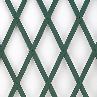 TENAX Treplas 50 x 200 cm, groen, uittrekbaar hekwerk van pvc, voor wandondersteuning van bloemen en klimplanten, groen TENAX Treplas 50 x 200 cm, groen, uittrekbaar hekwerk van pvc, voor wandondersteuning van bloemen en klimplanten, groen