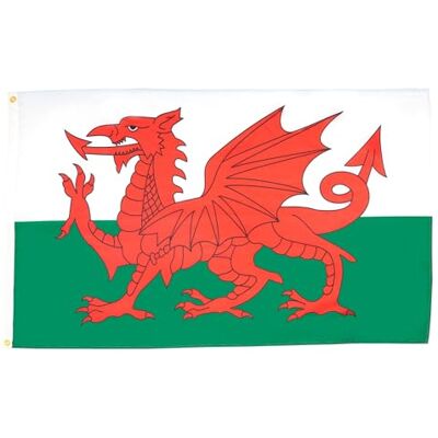 Az Flag Vlag Wales 250x150cm - Grote Waalse Vlag 150x250cm - Nieuw Az Flag Vlag Wales 250x150cm - Grote Waalse Vlag 150x250cm - Nieuw