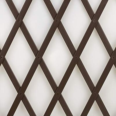 TENAX Treplas 1,00 x 2 m, bruin, uittrekbaar rankrooster van pvc voor wandbevestiging van bloemen en lussenplanten TENAX Treplas 1,00 x 2 m, bruin, uittrekbaar rankrooster van pvc voor wandbevestiging van bloemen en lussenplanten