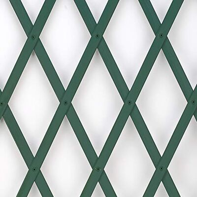 TENAX Treplas 1,00 x 3 m, groen, uittrekbaar hekwerk van pvc, voor wandondersteuning van bloemen en klimplanten, groen TENAX Treplas 1,00 x 3 m, groen, uittrekbaar hekwerk van pvc, voor wandondersteuning van bloemen en klimplanten, groen