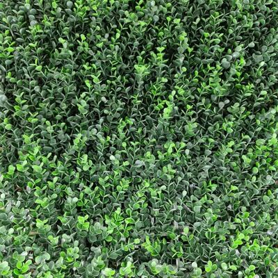 TENAX Divy Panel Buxus Intense kunstheg, modulair, buxus 50 x 100 cm TENAX Divy Panel Buxus Intense kunstheg, modulair, buxus 50 x 100 cm