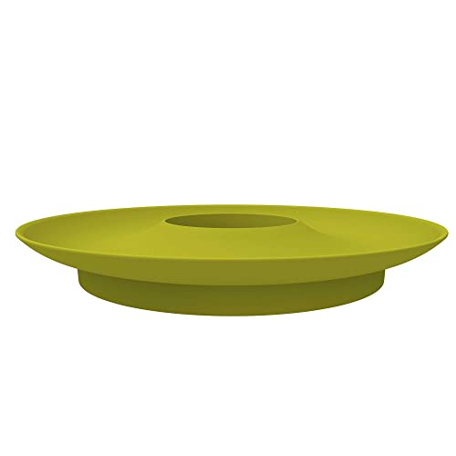 Romberg Avocado-set, voor het kweken van avocadopplanten, vrij zwevend, 15 cm diameter x 1,8 cm, zomergroen