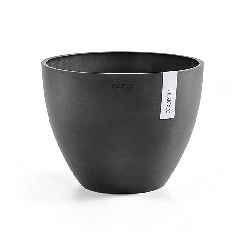 Ashortwalk ECOPOTS Antwerpen 30cm x 25.5cm Zwart