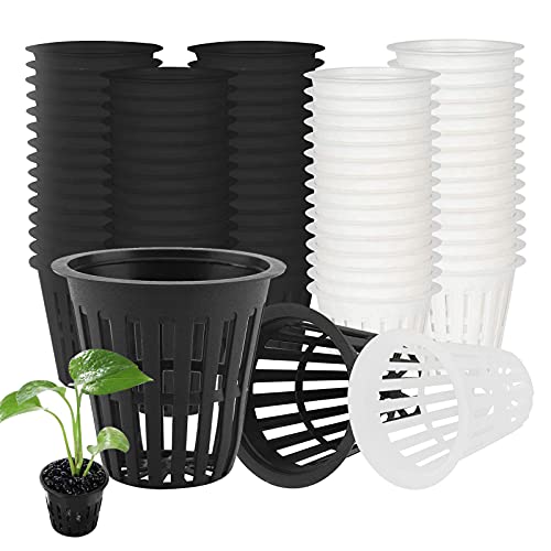 WZYTEU 60 stuks netpotten, hydrocultuur, kunststof potten voor tuin, balkon, hydrocultuur, aanplanten en soilless cultuur (5,5 cm, zwart + wit)