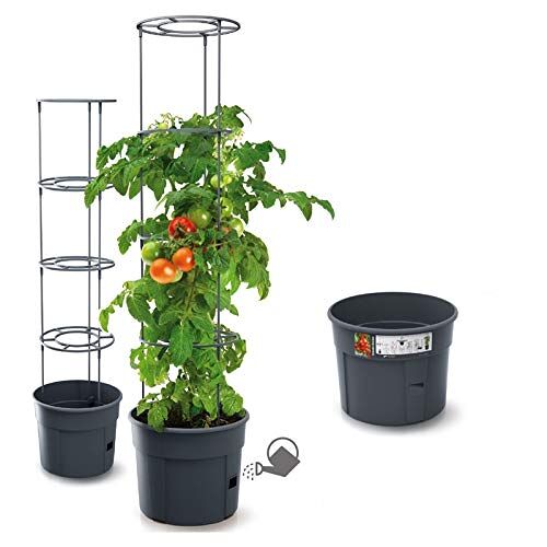 rgvertrieb Bloempot, tomatenpot, pot voor tomatenplanten, 28 l, tomatenkwekers, totale hoogte 153 cm, planten-kweektoren met klimhulp, rangrooster (Ø 400)