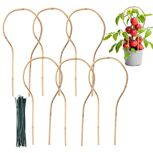 Generic Plant Trellis Indoor Bamboe Trellis,6 stks Tuin Trellis Lusvormige Kamerplanten Bloemen Vine Ivy Ondersteuning Stand Indoor Outdoor Plant Trellis Versier plant als kerstboom, Trellis