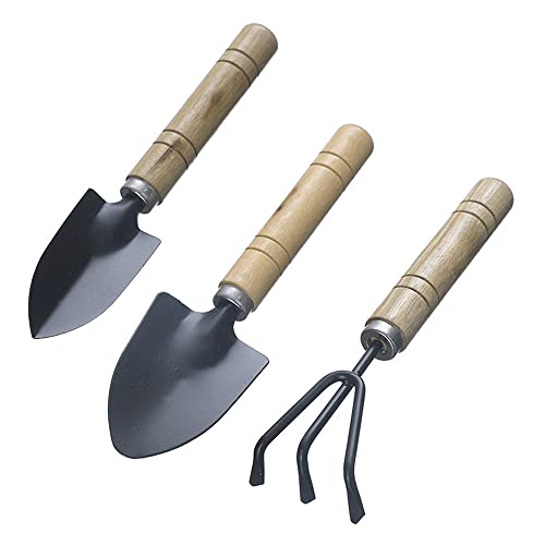 Lahviuu Tuingereedschap, 3 stuks mini-tuingereedschap, set tuinschop, tuinhark, houten cadeau, set met kleine harken en schop, voor potplanten voor tuin, planten binnen en buiten