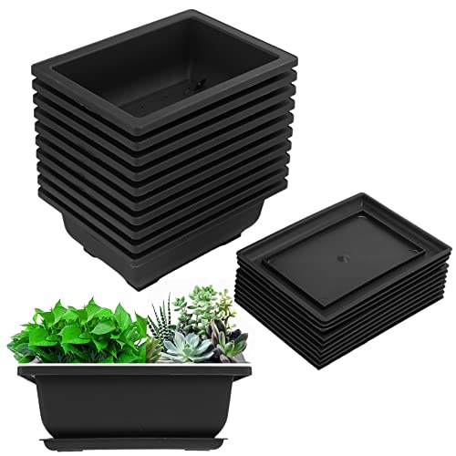 Liseng 10 verpakkingen bonsai trainingspan dienblad kunststof bonsai planten teelt pot voor tuin binnenplaats woonkamer balkon 16,5 x 12 cm