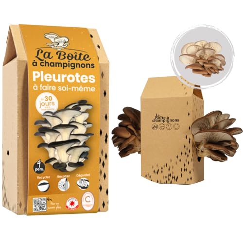 La Boîte à Champignons LA BOITE A CHAMPIGNONS Kit Grijze Oesterzwam Doe-Het-Zelf Kit 4 Personen