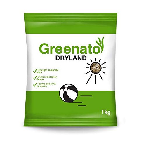 Greenato 1 kg Graszaad  Dryland droogtebestendig gras Graszaad Gazonzaad Gras