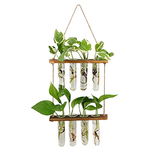 QLINDGK 2 gelaagde plantenvermeerdering plantenstations, plantenterrarium met houten standaard, wandhangende plantenbak voor het vermeerderen van hydrocultuurplanten Home Decor, bruin