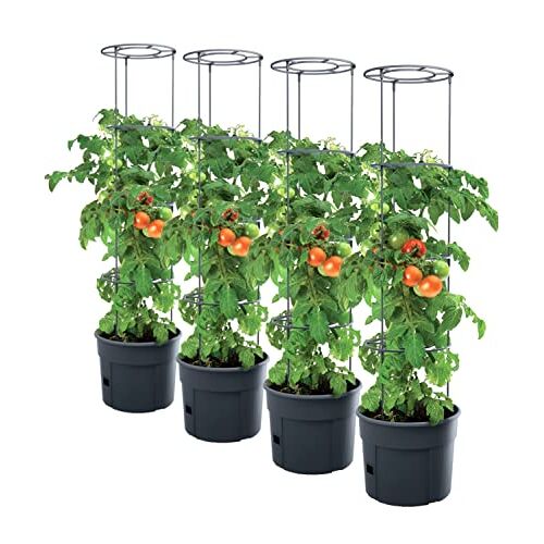 PAFEN 4x tomatenplant plantenbak 392 x 1530 mm Tomato Grower Planten tomaten tuin terras