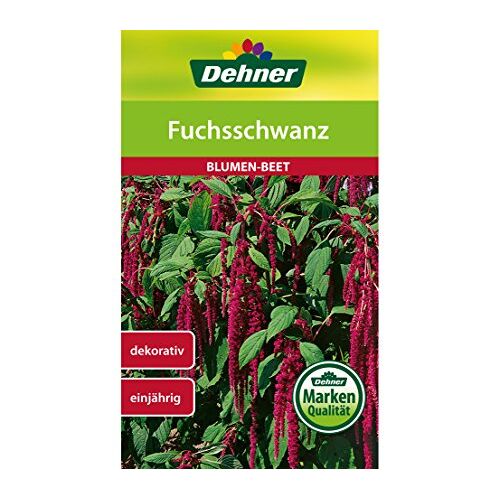 Dehner Zaad voor bloemen, vossenstaart, 5-pack (5 x 1,2 g)