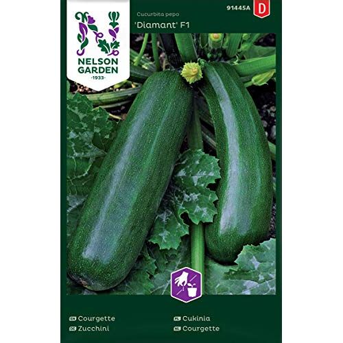 Nelson Garden 1933 Courgettezaden voor moestuin Nelson Garden Seeds Courgette Diamond F1 (15 stuks) (Courgette, Diamond F1, enkele verpakking)