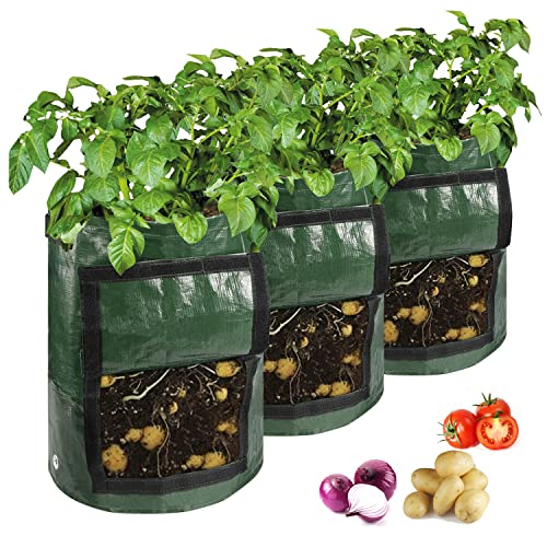 Kofull 3 STKS Groeien Zakken voor Tomaten Aardappel Groeiende Zakken Groeien Zakken voor Groenten 50L 7 Gallon Bloem Groente Plant Groeiende Zak 34 x 35cm (groen)