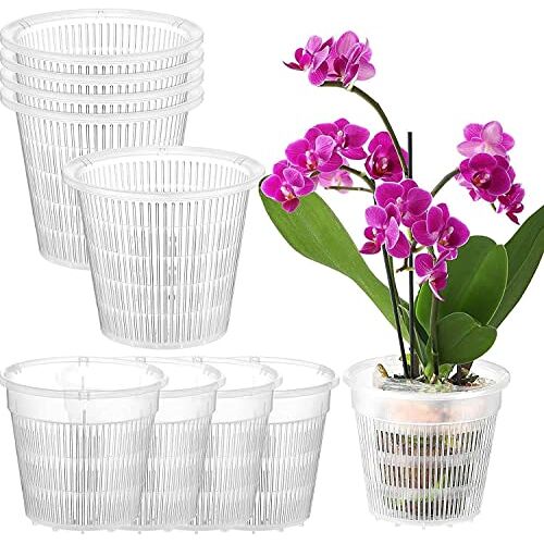 Cuteko 10 stuks doorzichtige orchideeënpot orchidee potmix transparante bloempot voor orchideeën orchidee pot orchidee compost verpot pothole netto plastic orchidee potten 10 stuks heldere orchidee potten met gaten hol ademend of