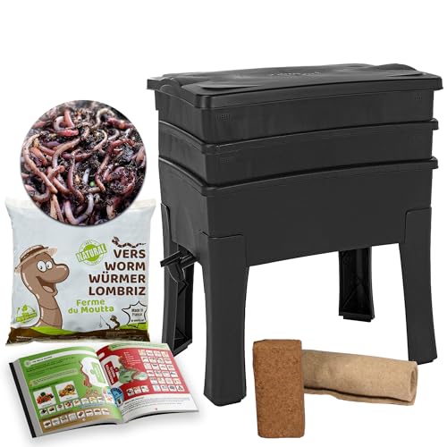 WormBox Moutta Worm Café, Lombricomposteerder 2 dienbladen, 250 g Compostwormen, complete set, grote inhoud, 64 liter