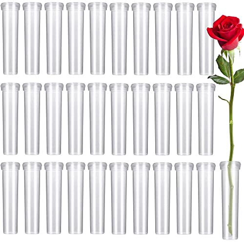 DHER Plastic Buizen Voor Bloemen Doorzichtige Plastic Bloem Buizen Kunststof Reageerbuizen 30pcs Van Bloem Behoud Cultuur Buis Bloemen Winkel Planten Bloemen Met Deksel Waterleiding Plastic Bloem Transport