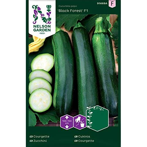 Nelson Garden 1933 Courgette zaden voor moestuin Nelson Garden Seeds courgette Black Forest F1 (5 stuks) (courgette, zwart bos F1, enkel pakket)