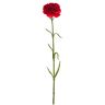 EUROCINSA Ref.60210C20 Clavel (9 cm), rood, doos met 24 stuks, 54 cm