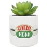 FRIENDS Plant Pot met Faux Plant 11,7cm Centraal Perk Plant Pot Indoor Kleine Plant Pot Gift