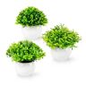 PASCH ® Set van 3 mini-kunstplanten, net echt (13 cm), in witte keramische potten, mini-buxusboom kunstplanten, kunstplanten in pot, kunstplant