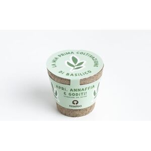 Resetea Irst437 Kweekset Resetea Irst437 Kweekset