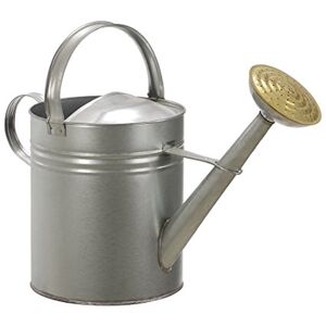 Dehner Gieter nostalgisch, 9 l, ca. 50 x 39 x 22 cm, verzinkt, zilver Dehner Gieter nostalgisch, 9 l, ca. 50 x 39 x 22 cm, verzinkt, zilver