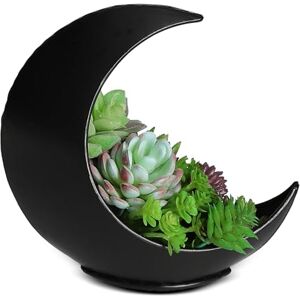 Oakadoaks Tafelplanter bureau maan plantenbak Boho plantenbakken voor kamerplanten, vetplanten, luchtplanten, cactus, faux, kunstplanten heksengeschenken voor vrouwen, verjaardagen, Oakadoaks Tafelplanter bureau maan plantenbak Boho plantenbakken voor kamerplanten, vetplanten, luchtplanten, cactus, faux, kunstplanten heksengeschenken voor vrouwen, verjaardagen,