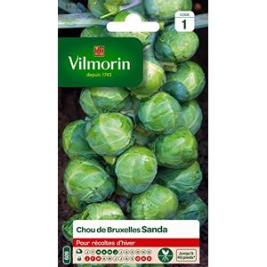 Vilmorin 3334841 Haarelastiek, groen, 90 x 2 x 140 cm Vilmorin 3334841 Haarelastiek, groen, 90 x 2 x 140 cm