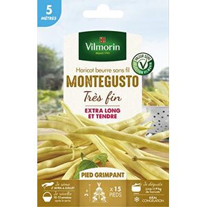 Vilmorin Monte Gusto Boter Rame Bonen, 5 m serie Vilmorin Monte Gusto Boter Rame Bonen, 5 m serie