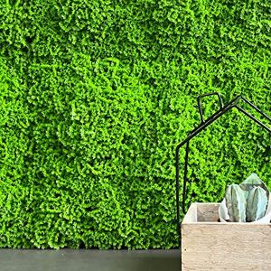 TENAX Merk Muscus 3D Hekpaneel - Verticale Tuin - 1x1m TENAX Merk Muscus 3D Hekpaneel - Verticale Tuin - 1x1m