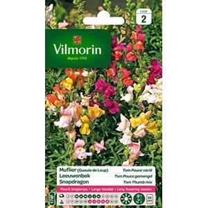 Vilmorin 5371042 Muflier, meerkleurig, 90 x 2 x 160 cm Vilmorin 5371042 Muflier, meerkleurig, 90 x 2 x 160 cm