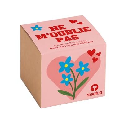 Resetea Ne M''Oblie Pas Myosotis kweekset zaden + pot van natuurlijke vezels + substraat romantisch cadeau Resetea Ne M''Oblie Pas Myosotis kweekset zaden + pot van natuurlijke vezels + substraat romantisch cadeau