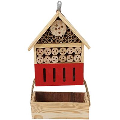 PLANETE PLANTE PLANETE Plant – insectenhotel met bloembak en zaden om te planten – ontdekkingsset en natuur – 170031 – hout – tuin – natuur – plant – bloemen – spel voor kinderen – vanaf 4 jaar PLANETE PLANTE PLANETE Plant – insectenhotel met bloembak en zaden om te planten – ontdekkingsset en natuur – 170031 – hout – tuin – natuur – plant – bloemen – spel voor kinderen – vanaf 4 jaar