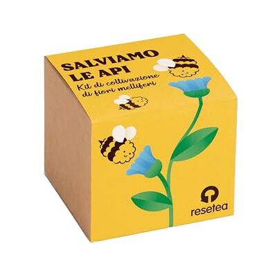 Resetea Red de Bijen Bloemenkweekset Zaadbom voor bestuivers Kweken van bijenbloemen thuis Origineel en pedagogisch cadeau Resetea Red de Bijen Bloemenkweekset Zaadbom voor bestuivers Kweken van bijenbloemen thuis Origineel en pedagogisch cadeau