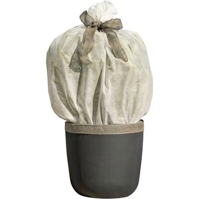 Windhager wintervlies ÖKO Protect, thermovlies, tuinvlies, vorstbescherming en bescherming tegen kou voor bomen en planten, winterbeschermhoes, 30 g/m2, 1,5 x 3 m, 07445, wit Windhager wintervlies ÖKO Protect, thermovlies, tuinvlies, vorstbescherming en bescherming tegen kou voor bomen en planten, winterbeschermhoes, 30 g/m2, 1,5 x 3 m, 07445, wit
