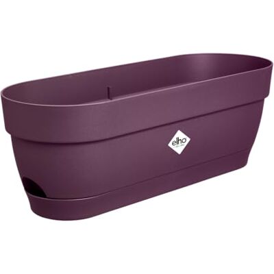 Elho Vibia Campana Balkonbak 50 Plantenbak voor Balkon Ø 49.0 x H 17.0 cm Esdoorn Paars Elho Vibia Campana Balkonbak 50 Plantenbak voor Balkon Ø 49.0 x H 17.0 cm Esdoorn Paars