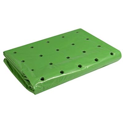 Windhager Strong, 06760, broeibakfolie, plantenfolie voor het hele jaar, broeibakfolie, folie voor planten, groen, 37 μm, 10 x 1,5 m Windhager Strong, 06760, broeibakfolie, plantenfolie voor het hele jaar, broeibakfolie, folie voor planten, groen, 37 μm, 10 x 1,5 m