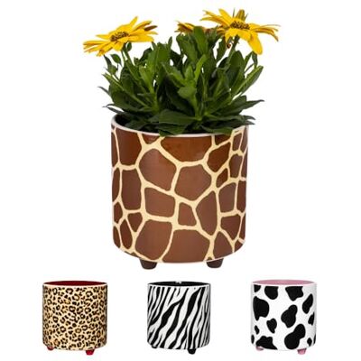 Fisura – Originele bloempot met giraffeprint. Keramische bloempot op pootjes voor interieurdecoratie. Perfect voor cactus, bloemen en vetplanten. Afmeting: 13 x 12,5 cm Fisura – Originele bloempot met giraffeprint. Keramische bloempot op pootjes voor interieurdecoratie. Perfect voor cactus, bloemen en vetplanten. Afmeting: 13 x 12,5 cm
