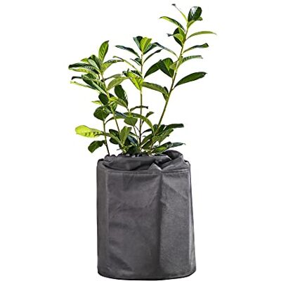 Windhager Superprotect L, 07488, winter-potbescherming, thermo plantenbak, winterbescherming voor potplanten, vorstbescherming, potplanten, bescherming tegen kou, Ø 25-35 cm x 40 cm, antraciet Windhager Superprotect L, 07488, winter-potbescherming, thermo plantenbak, winterbescherming voor potplanten, vorstbescherming, potplanten, bescherming tegen kou, Ø 25-35 cm x 40 cm, antraciet