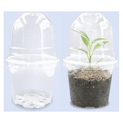 RooTrimmer Transparante kwekerijpotten 10 cm met vochtigheidskoepels voor het starten van zaden, doorzichtige plastic plantenpotten met drainagegaten (4 inch, 30 stuks, doorzichtige potten met deksels RooTrimmer Transparante kwekerijpotten 10 cm met vochtigheidskoepels voor het starten van zaden, doorzichtige plastic plantenpotten met drainagegaten (4 inch, 30 stuks, doorzichtige potten met deksels