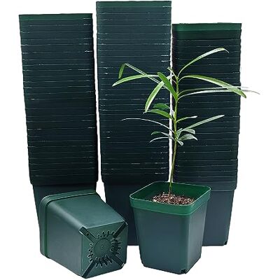RooTrimmer Vierkante Plastic Kwekerij Succlent Bloem Kweekpotten 100 stks/pak (Groen, 8cm/3.14") RooTrimmer Vierkante Plastic Kwekerij Succlent Bloem Kweekpotten 100 stks/pak (Groen, 8cm/3.14")
