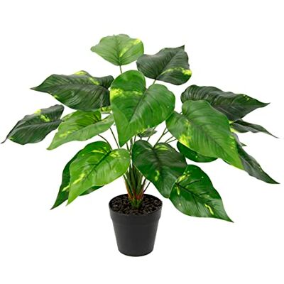 Flair Flower Kunstbladplant in pot, pothos, plant, klimop, fotoplant, kunst, zijden bloemen, Real Touch, decoratieve plant, groene plant, zijdeplant, kamerplant, kunstbloem, decoratie, kantoorplant, 40 x 25 x 25 Flair Flower Kunstbladplant in pot, pothos, plant, klimop, fotoplant, kunst, zijden bloemen, Real Touch, decoratieve plant, groene plant, zijdeplant, kamerplant, kunstbloem, decoratie, kantoorplant, 40 x 25 x 25